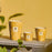 Paz Dove Candle <br> Bergamot, Green Tea, Musk <br> Limited Edition <br> (H 35) cm