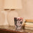 Leaves Manon Candle <br> 
Blackcurrant, Rose, Sandalwood
<br> Limited Edition
<br> (H 16) cm