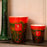 Arty Flowers Poppies Candle <br> Bergamot, Green Apple, Cedar <br> Limited Edition <br> (H 16) cm