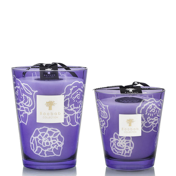 Baobab Limited-Edition Candle Bundle: Dark Parma Collectible Roses <br> Set of 2