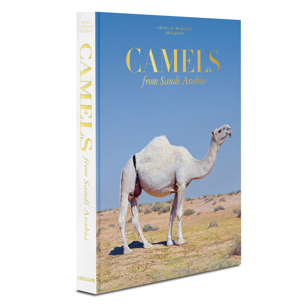 Camels from Saudi Arabia (Classic)