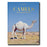 Camels from Saudi Arabia (Classic)