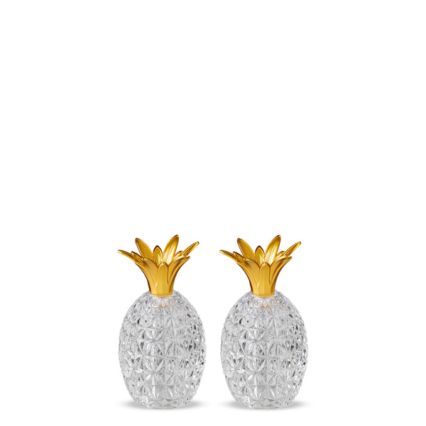 Caterina & Vittoria Salt and Pepper <br> Clear <br> Set of 2