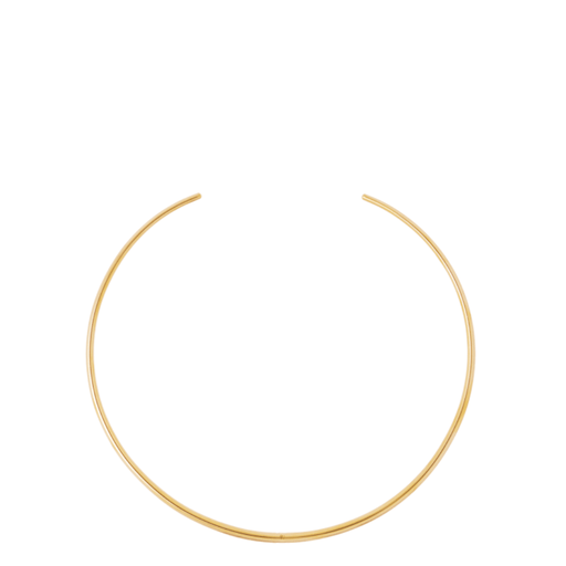 AN-O Torque Necklace <br> 
Gold