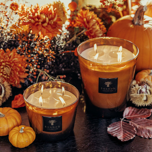 Les Prestigieuses Cuir De Russie Candle <br> Musk and Leather <br> (H 16) cm