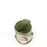 Lilies Vase <br>  Moss Green<br> (Ø 11 x H 13) cm