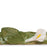 Lilies Long Dish <br>
Moss Green <br>
(L 60 x H 12.5) cm
