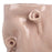 Roses Vase Sage <br> Nude <br> (Ø 17 x H 20) cm