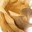 Organic Vase <br> Pastel Yellow <br> (Ø 30 x H 28) cm