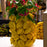 Starfruit Vase <br> 
Yellow
<br> (Ø 28 x H 36) cm