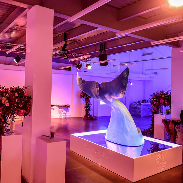 Whale Chair <br> (L 240 x W 215 x H 225) cm