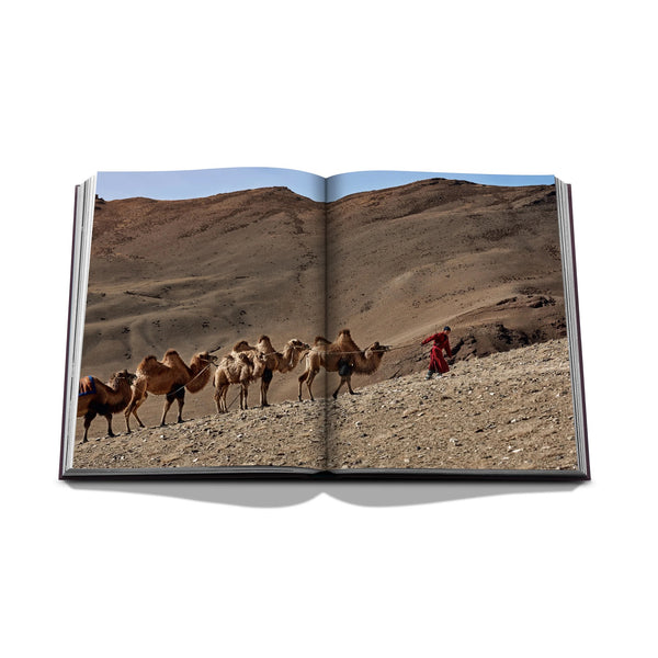 Ode to a Camel