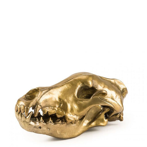 Wunderkammer <br> Wolf Skull <br> (W 14 x H 12) cm