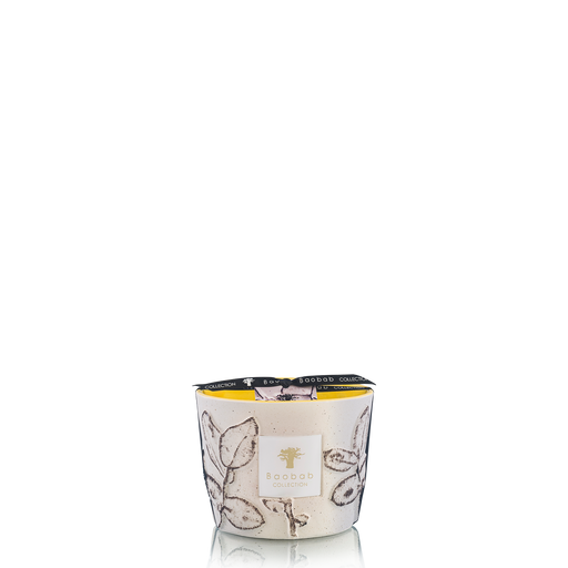 Folia Calanque Candle <br>
Bergamot, Green Tea, Musk <br>
Limited Edition <br>
(H 10) cm