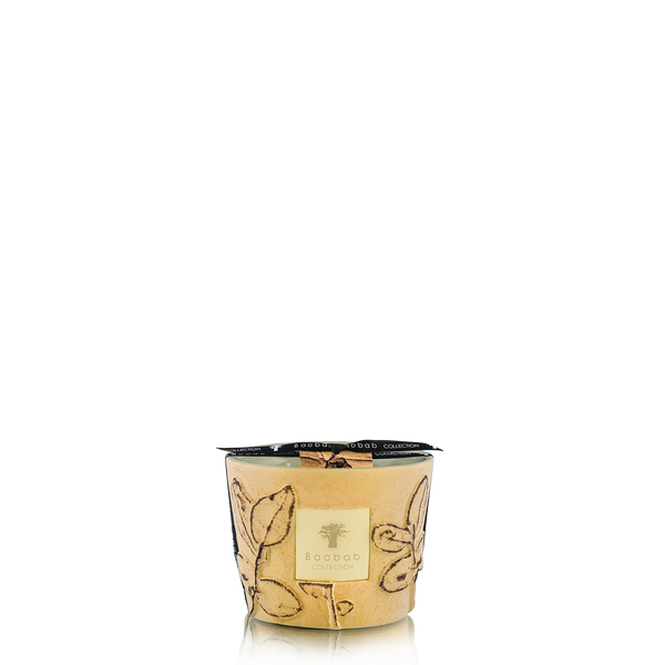 Candles & Fragrances