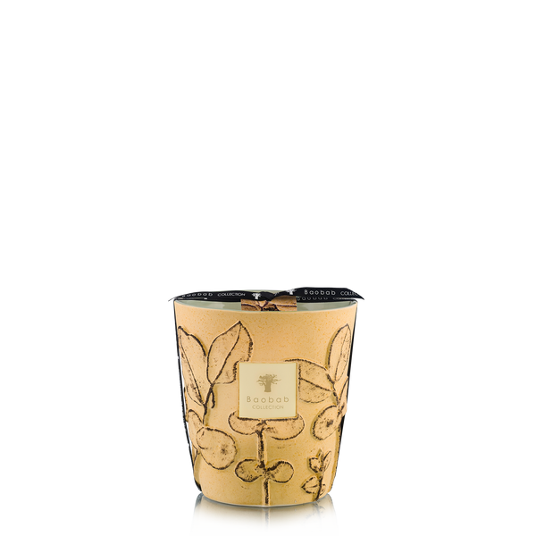 Candles & Fragrances