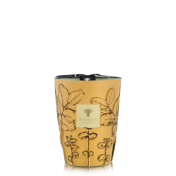 Folia Garrigue Candle <br>
Orange Blossom, Leather, Patchouli <br>
Limited Edition <br>
(H 24) cm