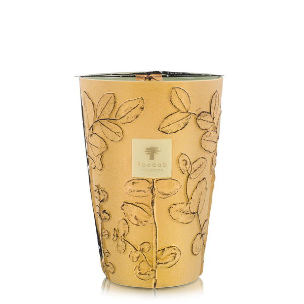 Candles & Fragrances