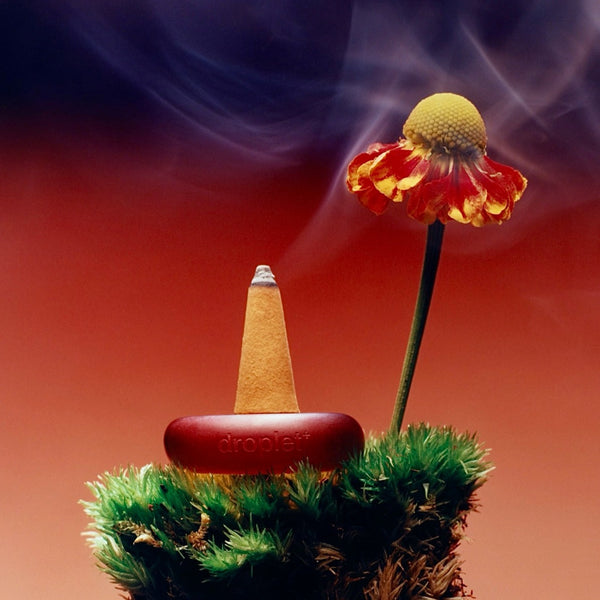 Focus: Wildflower Incense <br> Freesia + Muskmelon