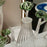 Talking Trees Optic Teapot / Jug <br> 
Clear / Green <br> 
900 ml