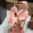 The Flamingos Sculpture <br> (L 17 x W 15 x H 33) cm