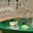 Animal Farm Longdrink Glass <br> 
Duck <br> 
450 ml