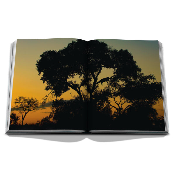 Londolozi: The Safari that Changed Everything