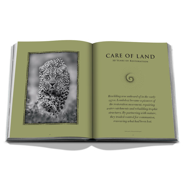 Londolozi: The Safari that Changed Everything