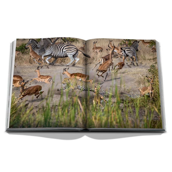 Londolozi: The Safari that Changed Everything