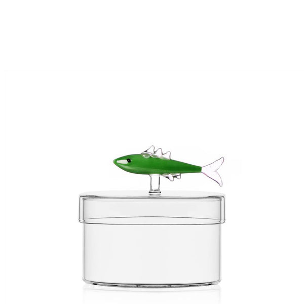 Marine Garden Box <br> 
Green Sardine <br> 
(Ø 12 x H 7.5) cm