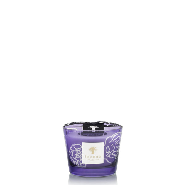 Candles & Fragrances