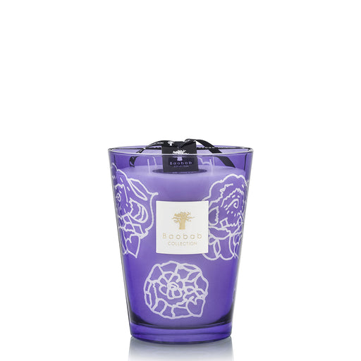 Collectible Roses Dark Parma Candle <br> Lemon, Lavender, Cedarwood <br> Limited Edition <br> (H 24) cm