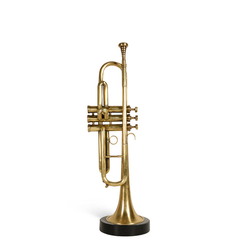 Trompet <br> (L 17 x H 53.6) cm