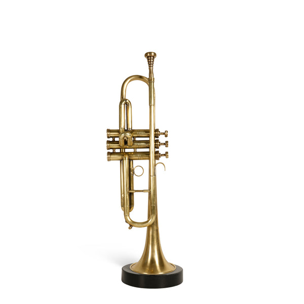 Trompet <br> (L 17 x H 53.6) cm