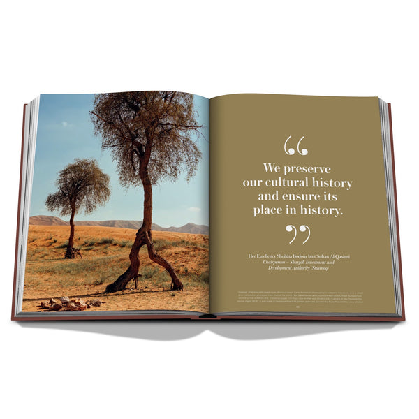 Mleiha: Ancient Treasures of the UAE