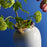 My Superhero Vase <br> Glossy White and 24 Carats Gold <br> (H 37) cm