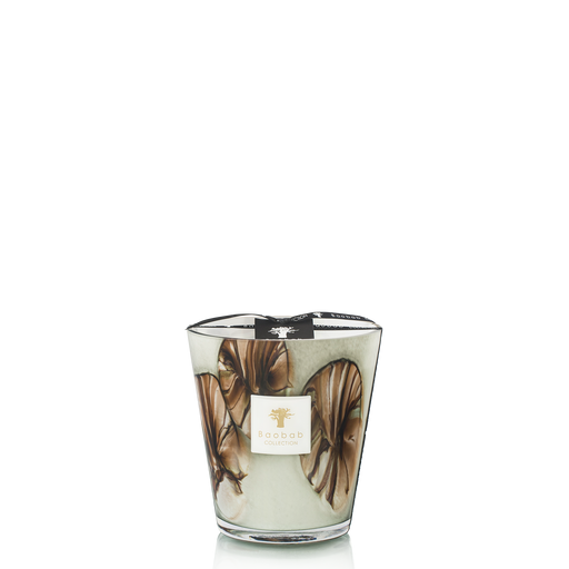 Oceania Anangu Candle <br> 
Nutmeg, Cinnamon Wood, Galbanum
<br> Limited Edition
<br> (H 16) cm