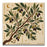 Olive <br> (H 100 x L 100) cm