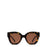 The Swirl <br> Tortoise Frame <br> Brown Lenses