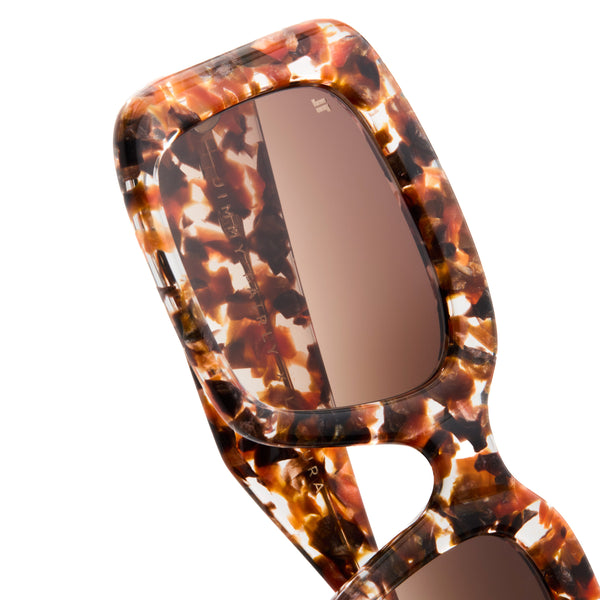 The Gioia <br> Tortoise Frame <br> Gradient Brown Lenses