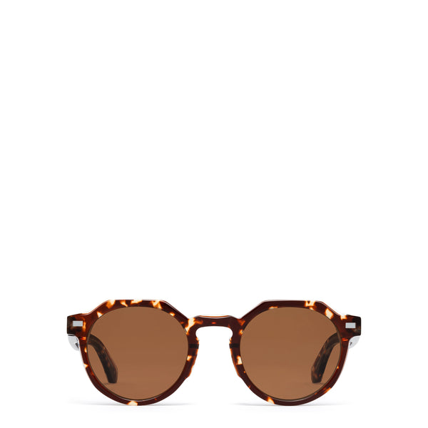 The Warren <br> Tortoise Frame <br> Brown Lenses