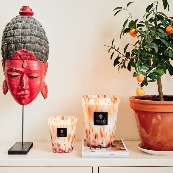 Pearls Coral Candle<br> Citrus, Jasmine, Cedar<br> (H 16) cm