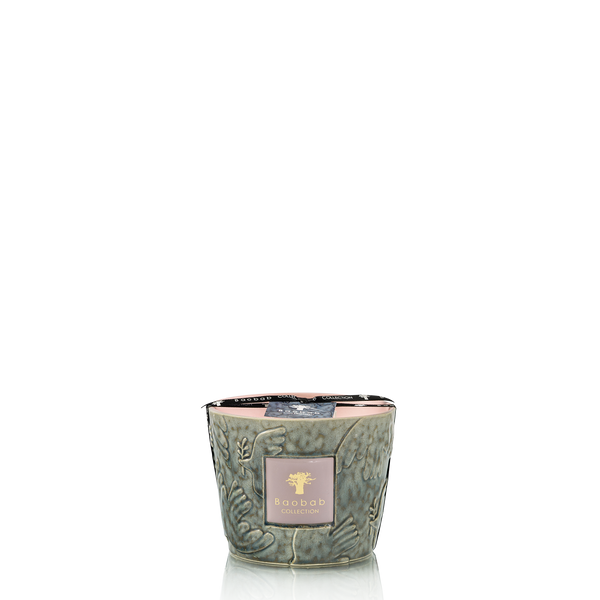 Paz Colombe Candle <br> Orange Blossom, Leather, Patchouli <br> Limited Edition <br> (H 10) cm