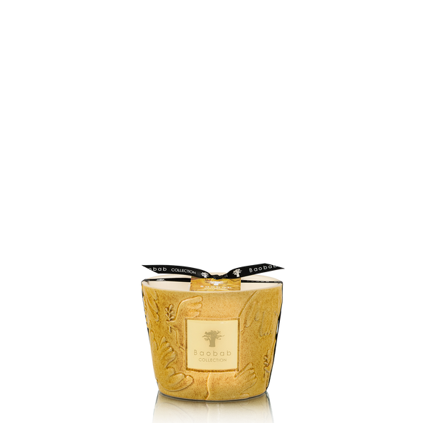 Paz Dove Candle <br> Bergamot, Green Tea, Musk <br> Limited Edition <br> (H 10) cm
