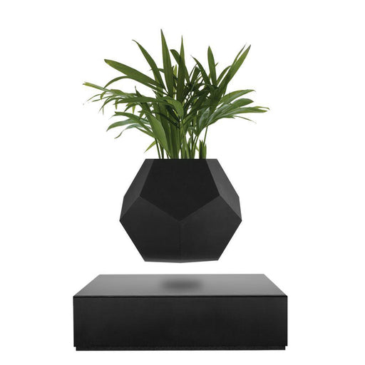 Lyfe Planter with Black Base and Black Skin Bundle
