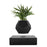 Lyfe Planter with Black Base and Black Skin Bundle