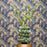 Starfruit Vase <br> 
Green
<br> (Ø 28 x H 36) cm