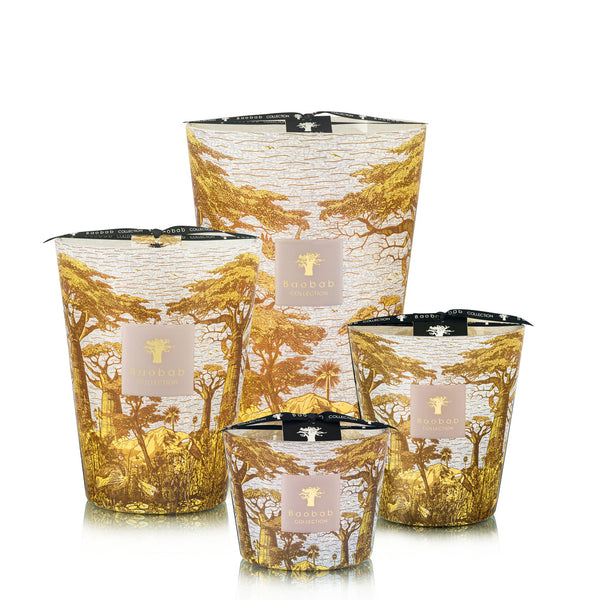 Sacred Trees Bounkani Candle <br>
Hazelnut Leaves, Green Fig, Sandalwood
<br> (H 10) cm