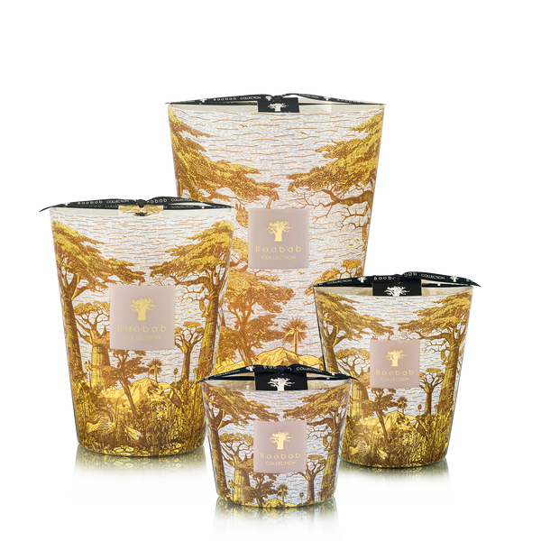 Sacred Trees Bounkani Candle <br>
Hazelnut Leaves, Green Fig, Sandalwood
<br> (H 24) cm