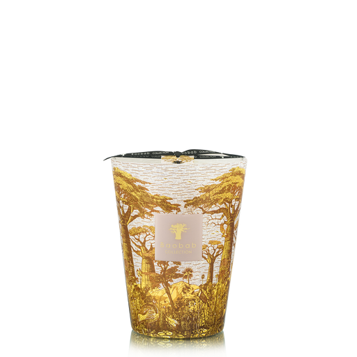 Sacred Trees Bounkani Candle <br>
Hazelnut Leaves, Green Fig, Sandalwood
<br> (H 24) cm